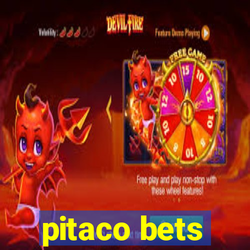 pitaco bets